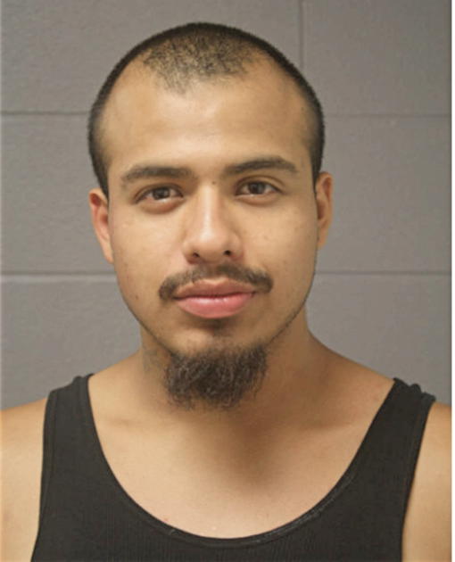 SALVADOR AMARO, Cook County, Illinois