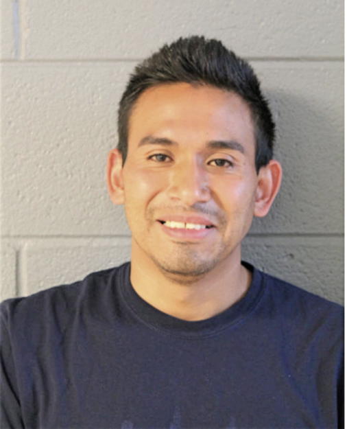 JOSE F ASCENCIO-GRANADOS, Cook County, Illinois