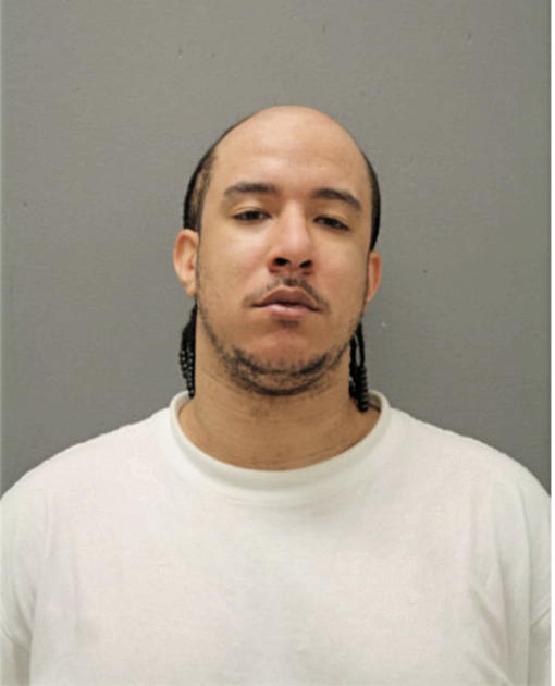 BRIAN A BASS, Cook County, Illinois