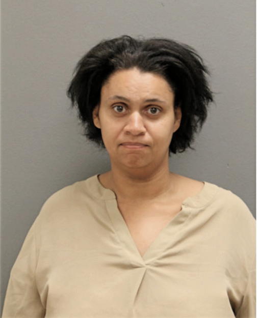 MEIGAN N CARROLL, Cook County, Illinois
