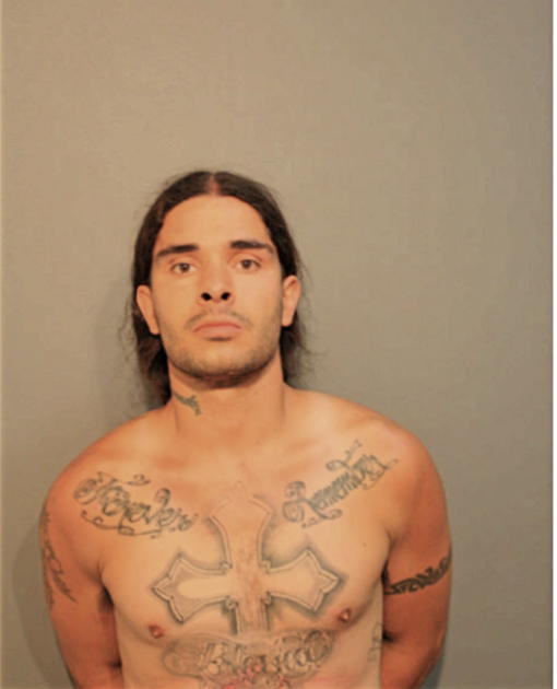 ROY G CORTEZ, Cook County, Illinois