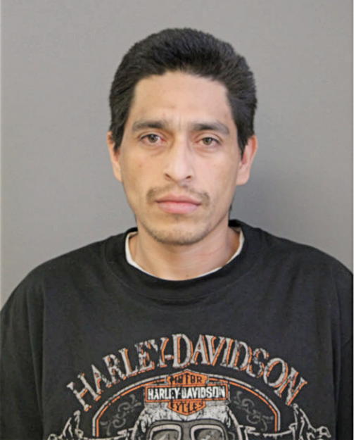 ALFREDO HERNANDEZ-CORTES, Cook County, Illinois