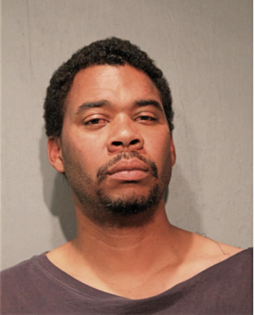 MICHAEL L JOHNSON, Cook County, Illinois