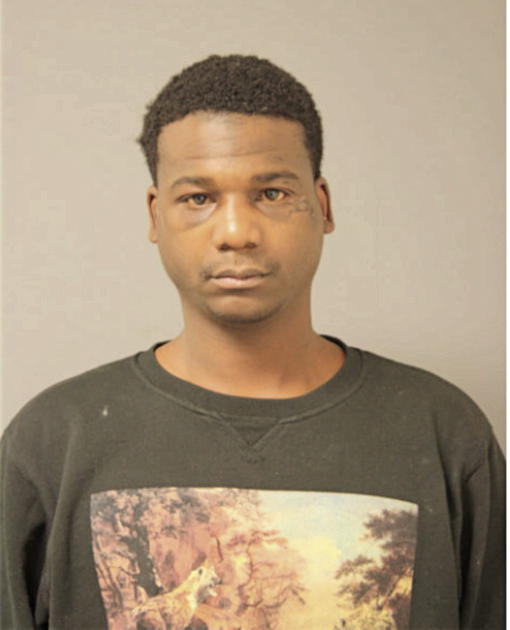 BRIAN A MALLETT, Cook County, Illinois