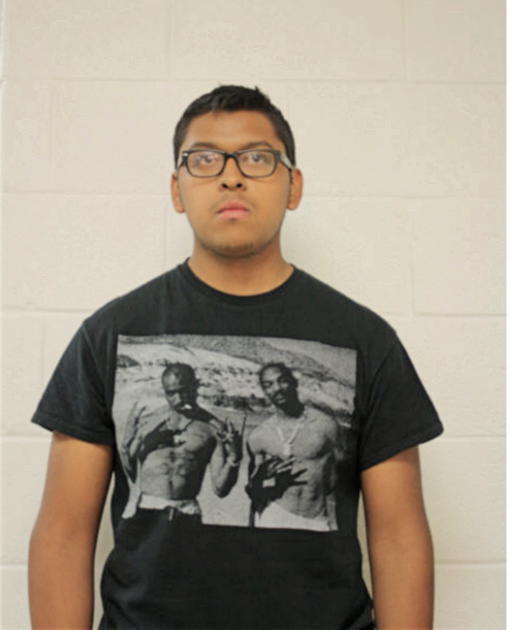 JORGE LUIS MARTINEZ ZARCO, Cook County, Illinois