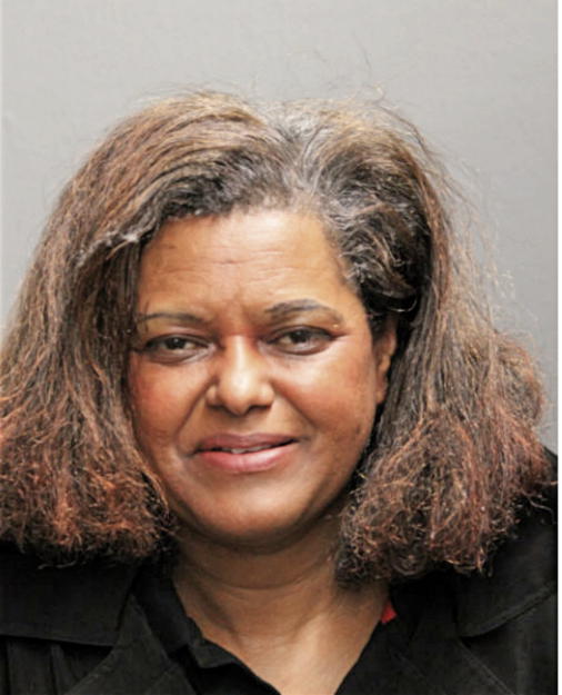 NETSANET NEGUSSIE, Cook County, Illinois