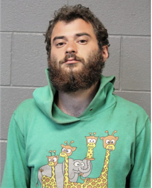 STEFAN V POPA, Cook County, Illinois
