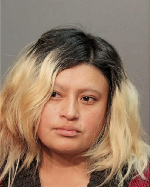 SANDRA PUMA, Cook County, Illinois