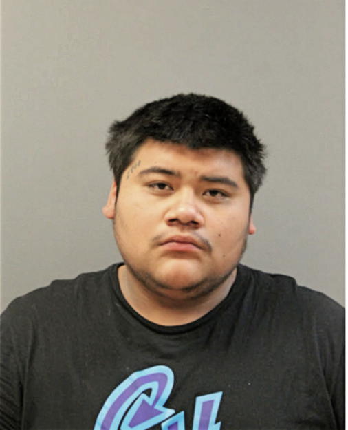 DAMAIN D REYES, Cook County, Illinois