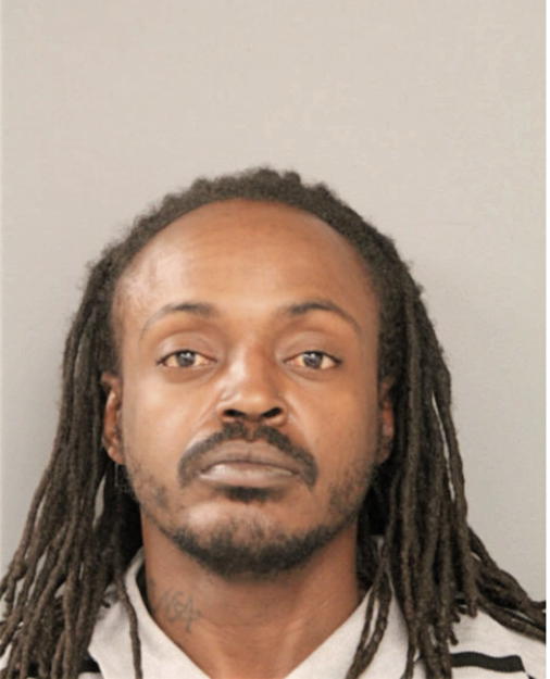 MICHAEL L ROBINSON, Cook County, Illinois