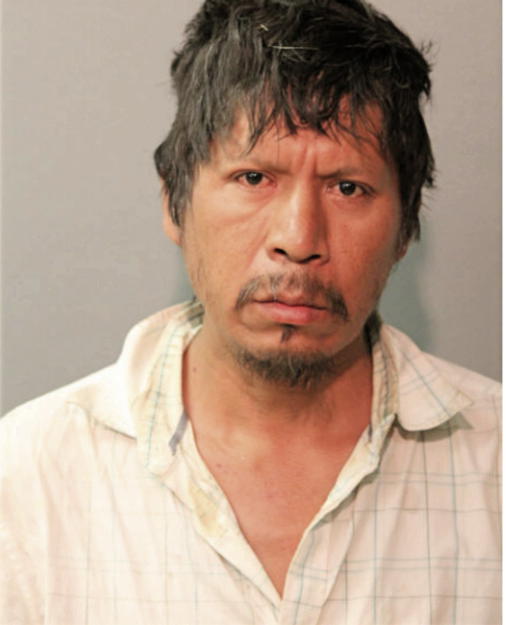 ADOLFO TOLAYO, Cook County, Illinois