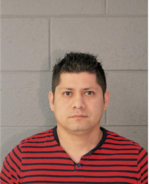 MILTON R ALVARADO, Cook County, Illinois
