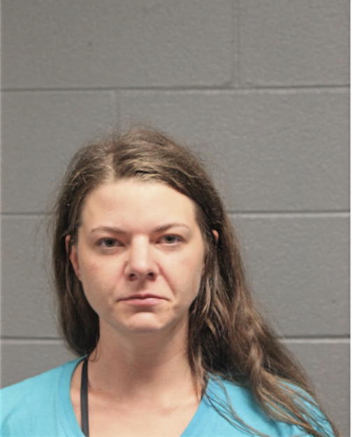 HEATHER L BEECHER, Cook County, Illinois