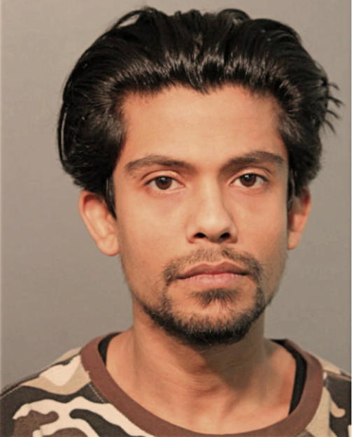 HASSAN A BHATTI, Cook County, Illinois