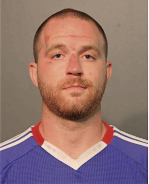 MICHAEL A BURNS, Cook County, Illinois