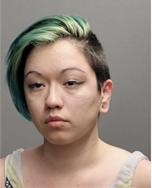 AMANDA ZOE DRUMMOND, Cook County, Illinois