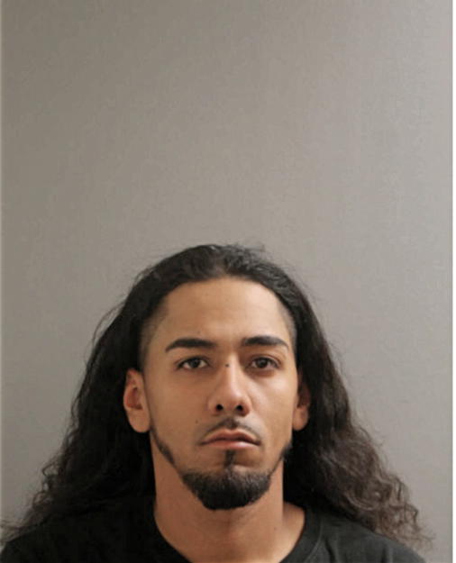 ALEJANDRO ECHEVARRIA, Cook County, Illinois