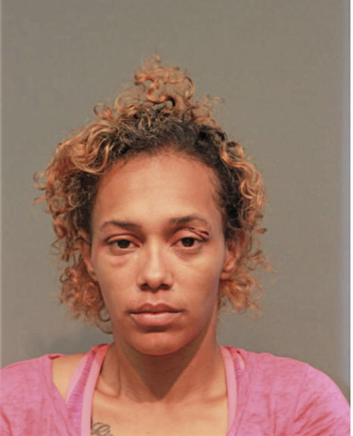 MELISSA G FLETCHER, Cook County, Illinois