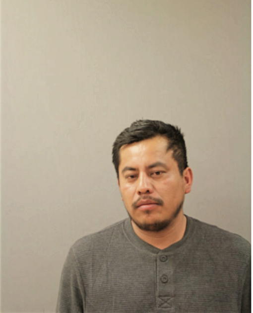 SALVADOR FLORES-CASARRUBIAS, Cook County, Illinois