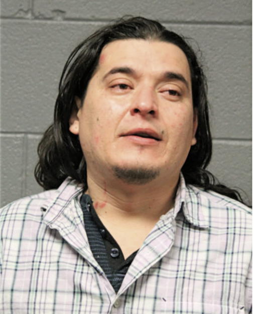 YONI D FONSECA, Cook County, Illinois