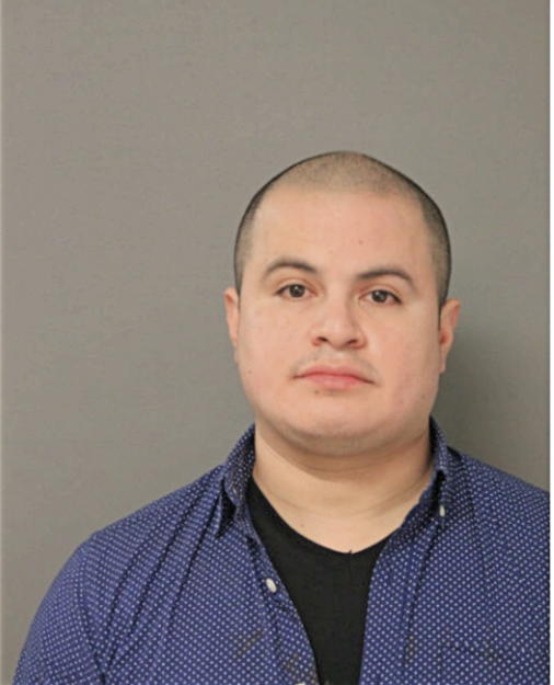 MICHAEL S GAMEZ, Cook County, Illinois