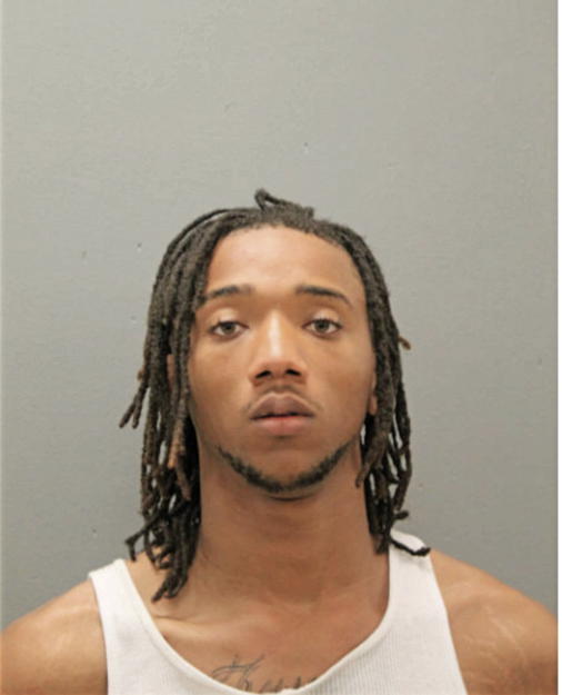 MATTHEW K JOHNSON, Cook County, Illinois
