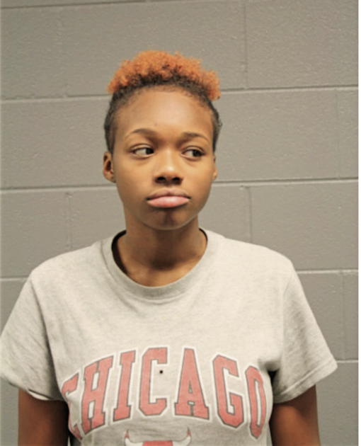 TIERRA S JOHNSON, Cook County, Illinois