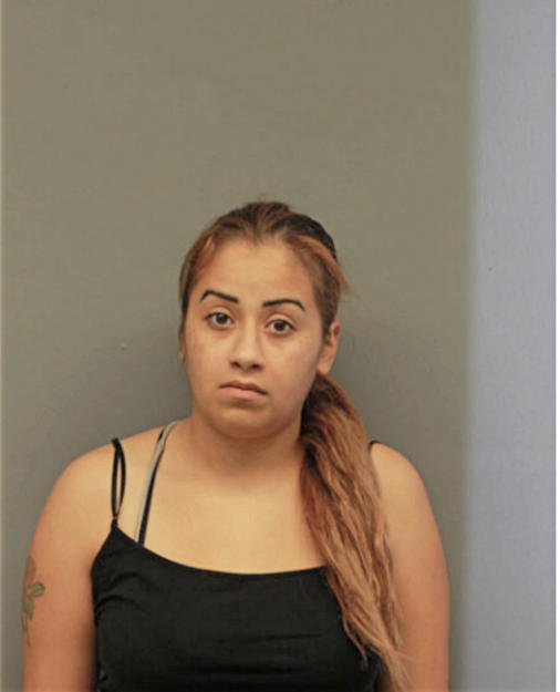JAZMIN M LOSADA, Cook County, Illinois