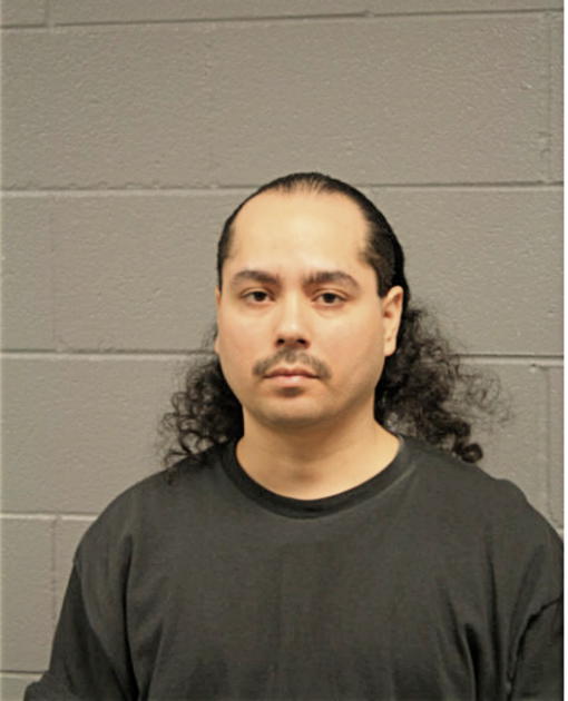 LUIS DANIEL MENDOZA, Cook County, Illinois