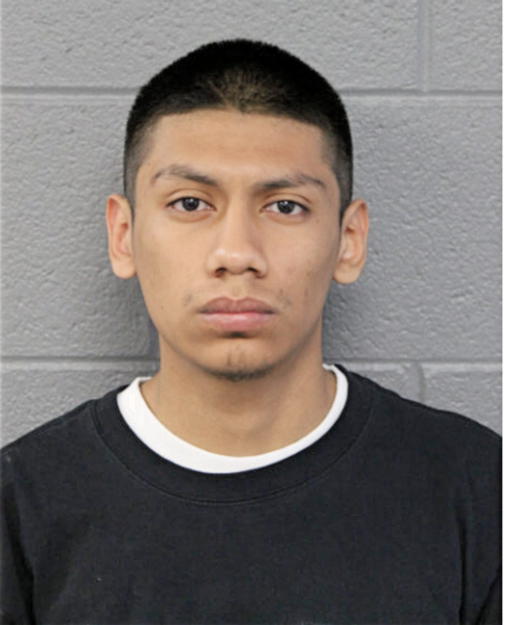 JULIO RICO, Cook County, Illinois