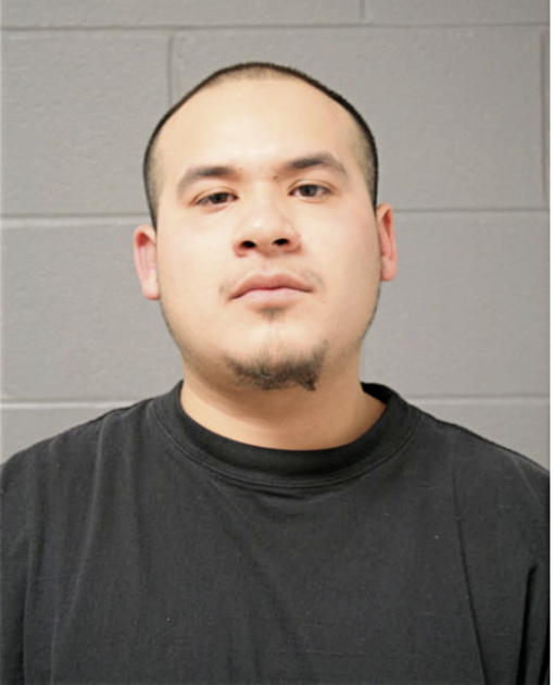 ALBERTO VEGA, Cook County, Illinois