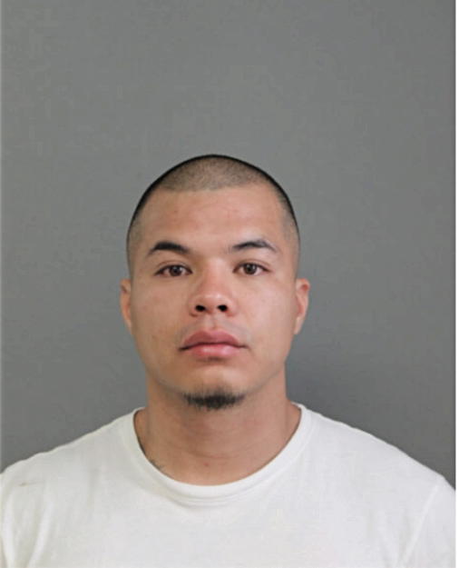 JAVIER ARTEAGA, Cook County, Illinois