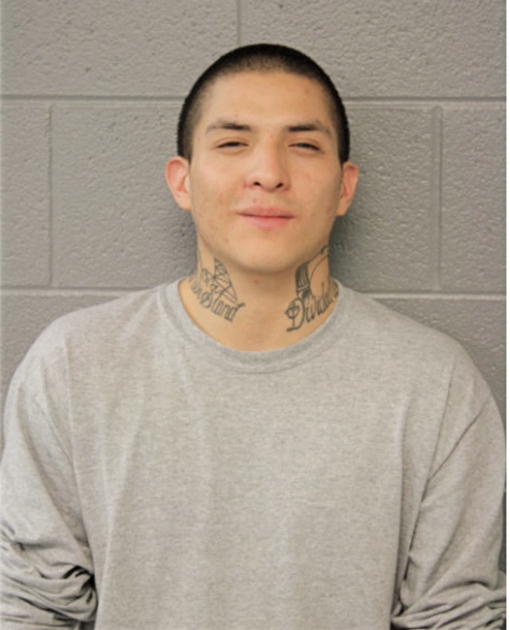 GINO CARRASCO, Cook County, Illinois