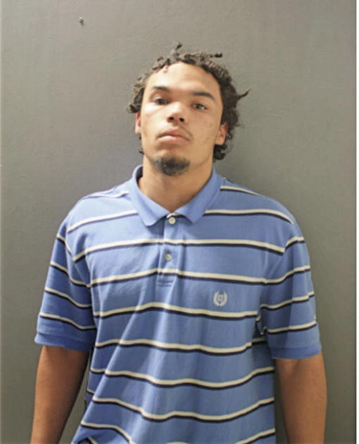 TRENTON H DAVIES, Cook County, Illinois