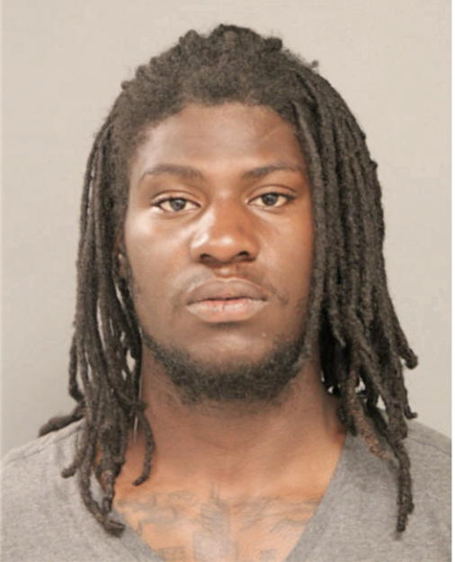 LAVERAS DELANEY, Cook County, Illinois