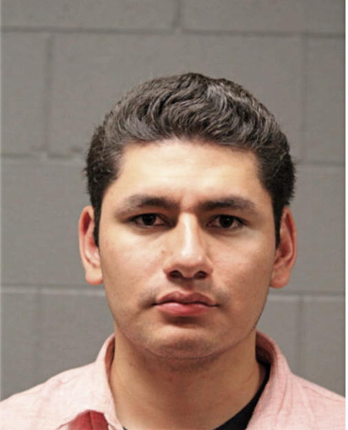 EMMANUEL F ESTRADA, Cook County, Illinois