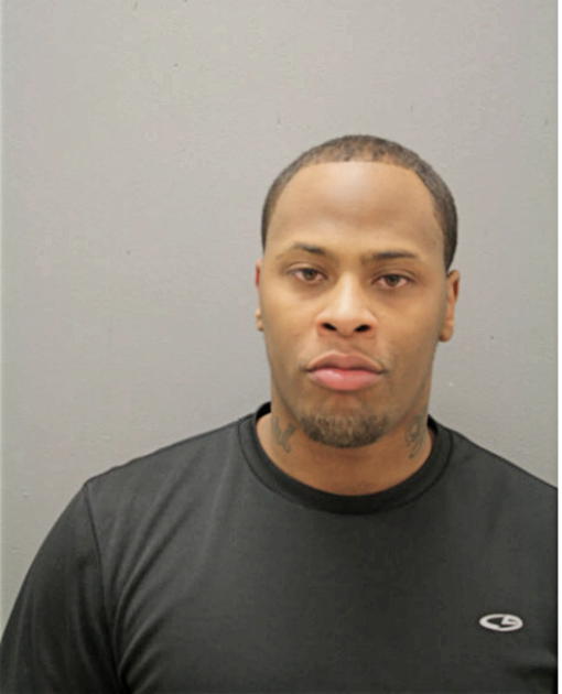 DANIEL P EZELL, Cook County, Illinois