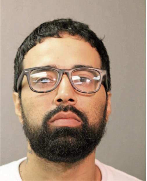 OMAR T FELICIANO, Cook County, Illinois