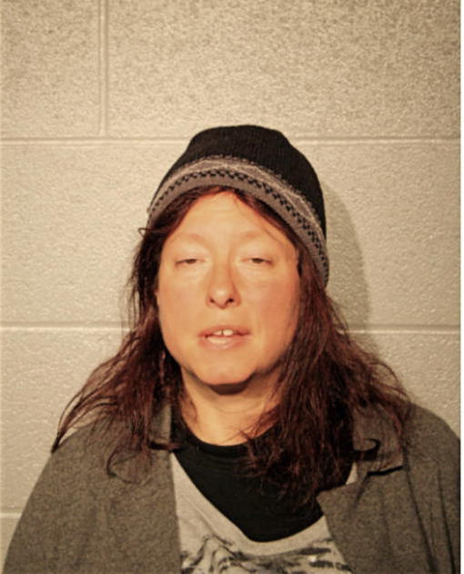SHELLEY R FREY, Cook County, Illinois