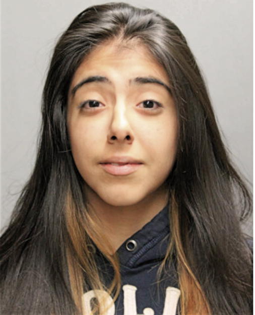 FLOR GARCIA, Cook County, Illinois