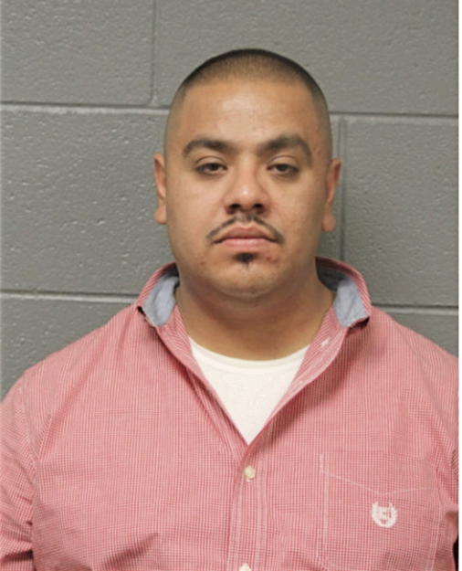 CESAR ANTONIO GONZALEZ, Cook County, Illinois