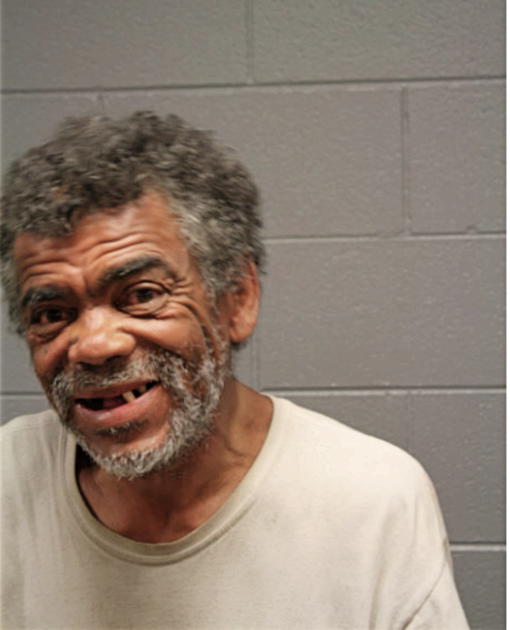 BRYAN P GOUGIS, Cook County, Illinois