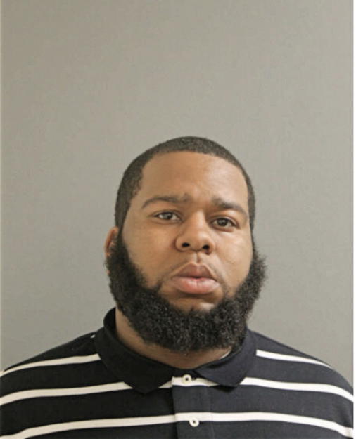 LAVONDALE E HOLTON, Cook County, Illinois