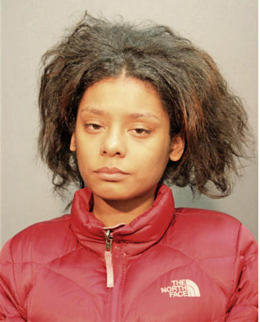 BRITTANY C JENKINS, Cook County, Illinois