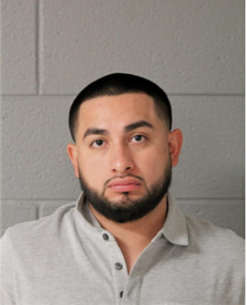 LUIS JESUS LUNA, Cook County, Illinois