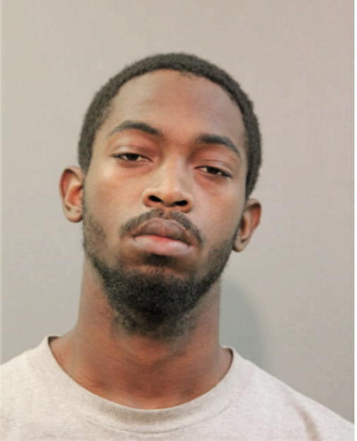 DOMINIQUE L MCDONALD, Cook County, Illinois