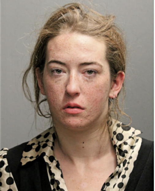 NINA M NEWMAN, Cook County, Illinois