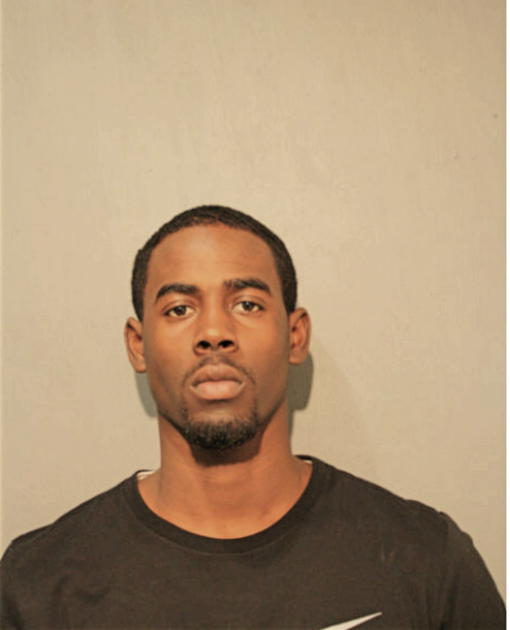 BRANDON D PALMER, Cook County, Illinois
