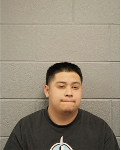 RONALD REYES, Cook County, Illinois
