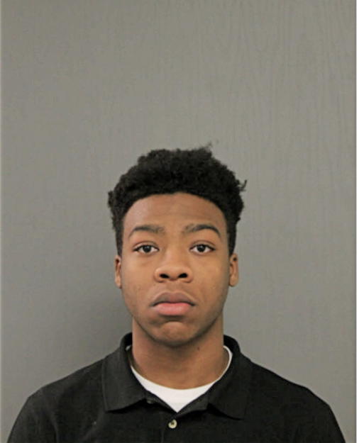 DAVIONE M SAFFORD, Cook County, Illinois